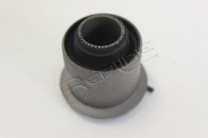 43IZ005