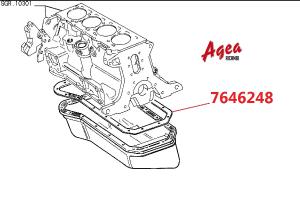 7646248